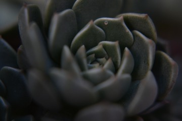 1000047738