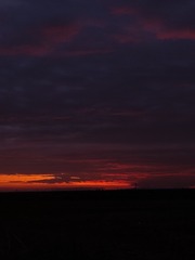 1000026220
