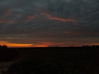 1000026217