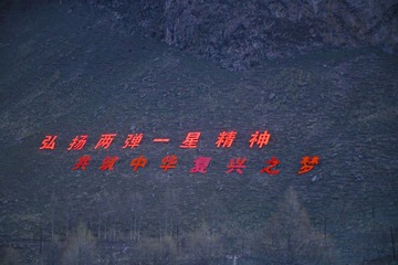 1000185690