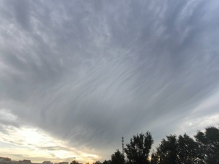 1000052501