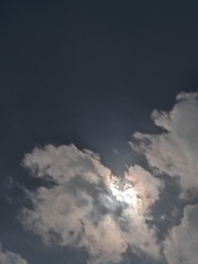 1000036349