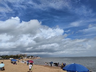 IMG20240719101824