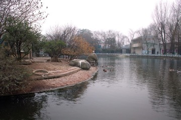 SDIM0092.jpg