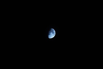 DSC_2423.jpg