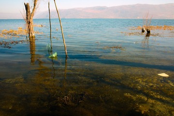 SDIM0390