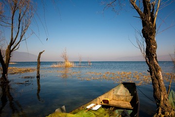 SDIM0391