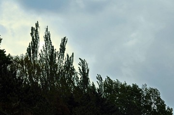 DSC_1480.JPG