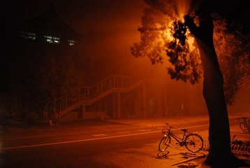 宁静而安逸的深黄色