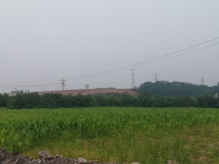 590668