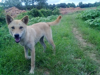 20120630076.jpg
