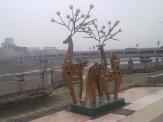 20130124503.jpg