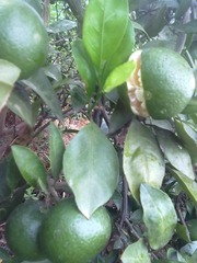 20120822304.jpg
