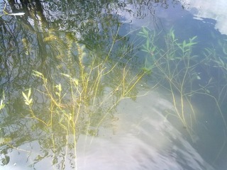 20120827322.jpg