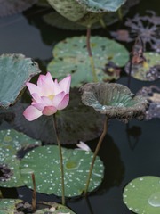 001
