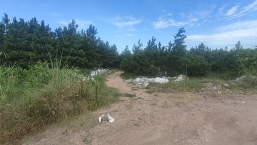 1000003563