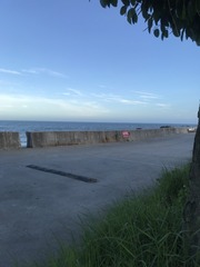 1000013806