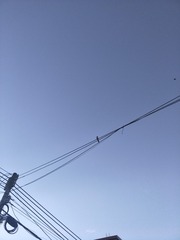 65745