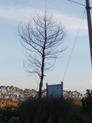1486160