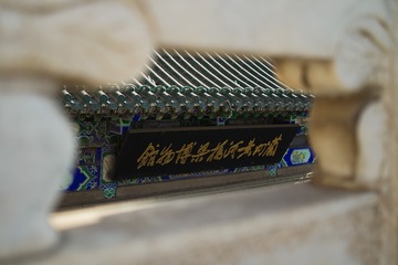 1000012981
