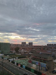 1000495342