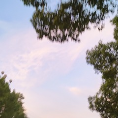 1000020670