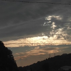 1716094