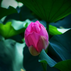 001