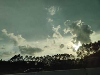 1000362172