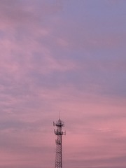 1000011582
