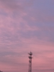 1000011581