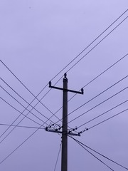 1000015325