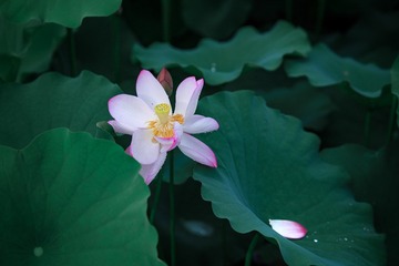 001
