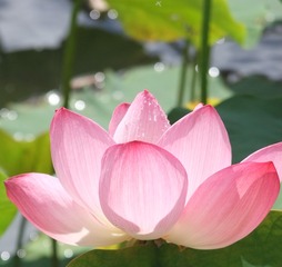 1000034630