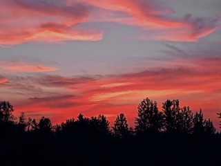 IMG20240725052157