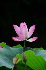 001