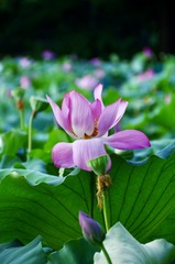 001
