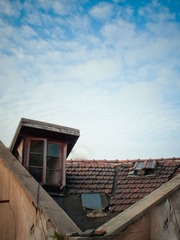 IMG_2437.JPG