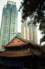 IMGP7098.JPG