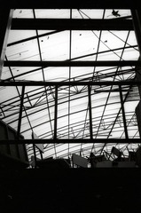 acros100push250 010.JPG