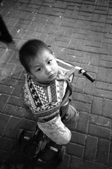 HP5+800 036.jpg