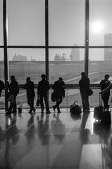 acros100JAN2013 013.jpg