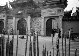 acros100JAN2013 025.jpg