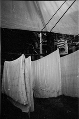 acros100JAN2013 036.jpg