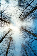 PROPHOTO100FEB2013 006.jpg