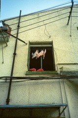 PROPHOTO100FEB2013 016.jpg