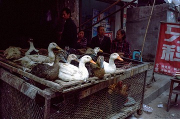 PORTRA160 2013 APR 023.jpg