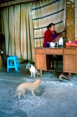 PORTRA160 2013 APR 028.jpg