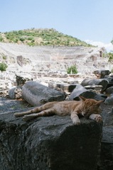 REVO0296.jpg