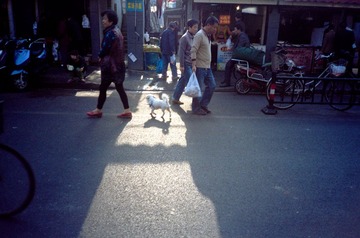 profoto100xa-jun33